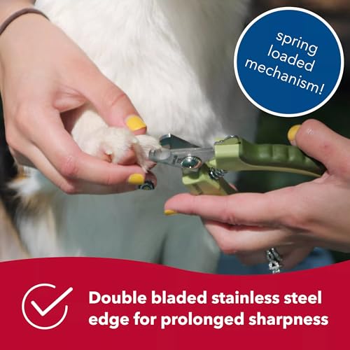 Coastal Pet Safari Professional Dog Nail Trimmer Pet Nail Clippers for Small Dogs Safety