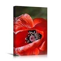 Canvas Wall Art Red Petal Closeup Bedroom Closeup Colorful Floral Multicolor Petal Photography Romantics - 12x18 inches