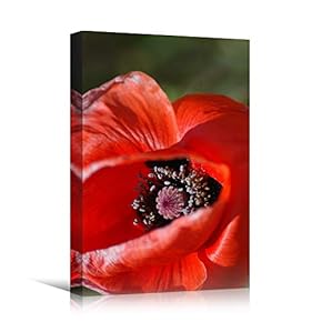signwin Canvas Wall Art Red Petal Closeup Bedroom...