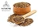 Naturevibe Botanicals Organic Cumin Seed, 2lbs (2 Packs of 1lb each) | Cuminum cyminum L. | Raw, Gluten-Free & Non-GMO | Adds Flavor and Taste.
