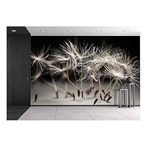 Macro Closeup of Dandelion Seeds Standing Up on Gray and Black Background - Removable Wall Mural | Self-Adhesive Large Wallpaper - 66x96 inches