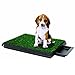 Synturfmats Indoor Pet Potty Patch Puppy Pee Training Pad, Deluxe 3 Pieces Dog Relief System with Drawer, Green, Medium with Drawer 20