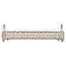 Giovanni Champagne Mirror Top Serving Tray, Rectangular Metal Ornate Accent Vanity Food Decorative Display Platter