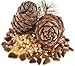 ECO NAVA | Pine Nut Oil (200 ml / 7 fl oz) | 100% Natural Extra Virgin Cold Pressed | Unrefined Raw No-GMO Vegan | Gluten-Free | Premium Food Grade | Great For Cooking & Skin Applications