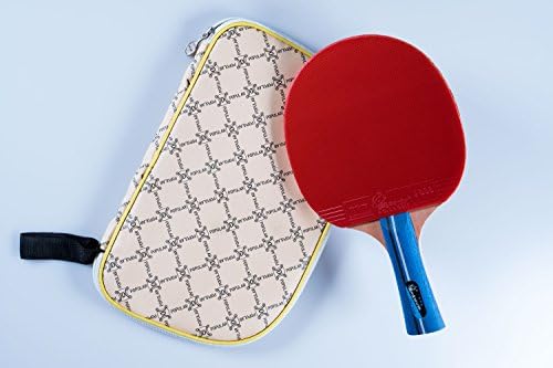 AOLISHI 1 ping pong, 1 Table Tennis Paddle with Square Paddle Bag.
