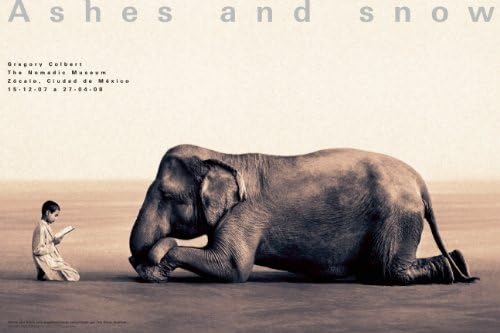 Ashes and Snow Mexico Boy Reading to Elephant Poster