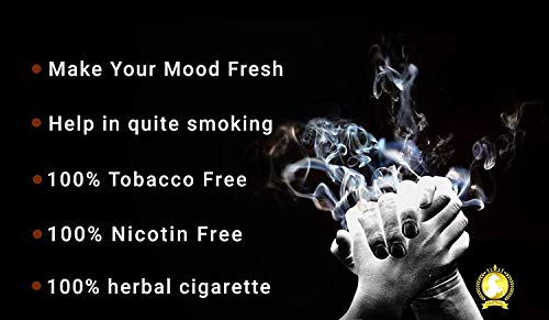 Royal Swag Herbal Mint (MCT) 100% No Nicotine & No Tobacco Cigarettes 10/Pack