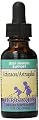 Herbs for Kids Echinacea/Astragalus, 1 ounce (Pack of 12)