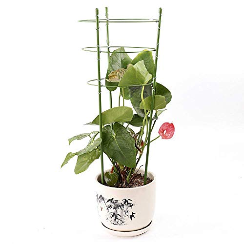 Alapaste Plant Support Ring Garden Trellis Plant Support Cage with 3 Adjustable Rings for Potted Climbing Plants Vegtables Flowers