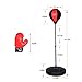 Fun Little Toys Boxing Ball Set for Kids with Punching Ball with Stand, Boxing Gloves, Hand Pump and Adjustable Height Stand, for Boys Girls