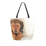 mg collection dog tote