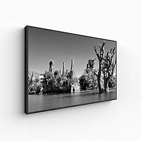 Canvas Wall Art for Living Room, Bedroom Monochrome Plants Framed Canvas Prints for Home Decoration Ready to Hang - 16x24 inches