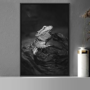signwin Framed Canvas Wall Art Reptile Contemporary Dramatic...