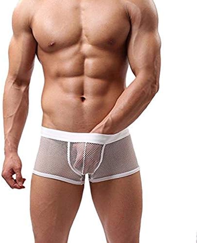 Linqi1164 Hasper Mens Low Waist Mesh Sexy Boxers Briefs Shorts Trunks Underpants Underwear for Sex