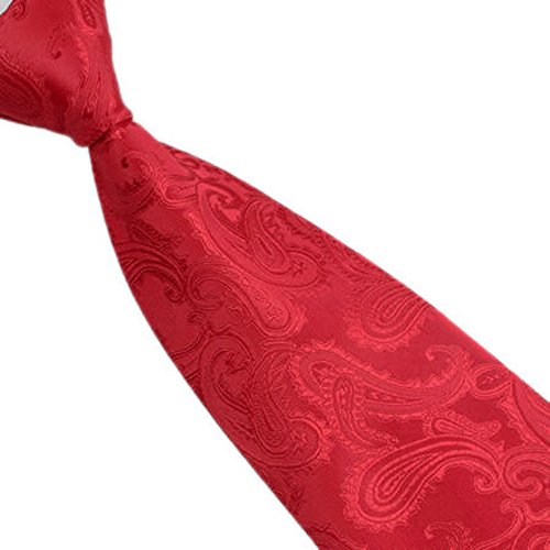 Yoyorule Classic Paisley Mix Color JACQUARD WOVEN Silk Mens Tie Necktie
