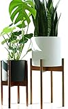 Fox & Fern Modern Plant Stand with 10" Pot