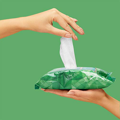 Live Green Facial Wipe Set 2 Packs of Face Wipes, Makeup Removing