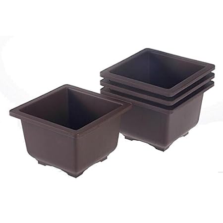 Green Paradise Bonsai Pots square 12 cm (L & W)) x 8cm(H) (Brown) (Pack of 5) ideal for bonsai trees,succulents and adeniums