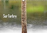 Sur l'arbre 2019: L'arbre, element architectural de nos paysages naturels. (Calvendo Nature) (French by 