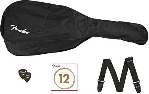 sound stoked gig bag