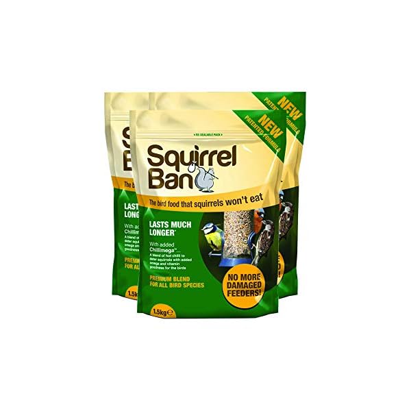 Squirrel Ban The Squirrel Proof Bird Food An antisquirrel bird