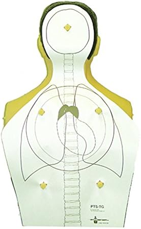 Amazon.com : 3D Target Anatomy and Scoring Paper Insert Designed for