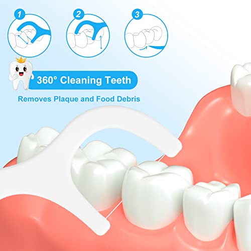 1000 Count Dental Floss Picks Great Value Family Pack, BPA Free Tooth