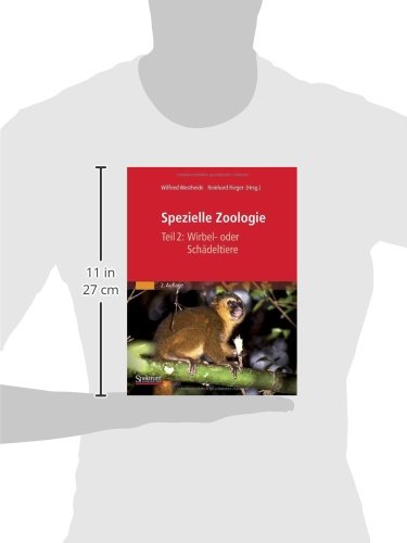 Spezielle Zoologie Teil 2 Wirbel Oder Schadeltiere Amazon De Westheide Wilfried Rieger Gunde Rieger Gunde Bucher Spezielle Zoologie Teil 2 Wirbel Oder Schadeltiere Amazon De Westheide Wilfried Rieger Gunde Rieger Gunde Bucher
