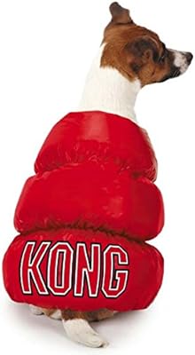 kong dog supplies