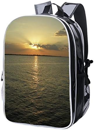 High-end Custom Laptop Backpack-Leisure Travel Backpack Amazon Sun Sky and Waters Water Resistant-Anti Theft - Durable -Ultralight- Classic-School-Black