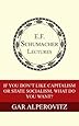 If You Don't Like Capitalism or State Socialism, What Do You Want? (Annual E. F. Schumacher Lectures Book 31)