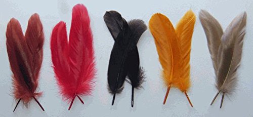 bulk goose feathers