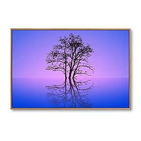 Framed Canvas Wall Art for Living Room, Bedroom Animals Canvas Prints for Home Decoration Ready to Hang - 16x24 inches