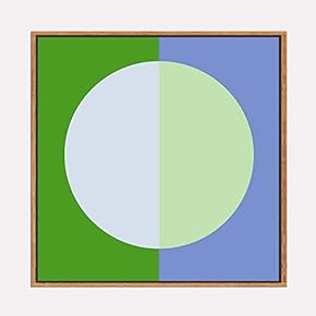 Framed Canvas Wall Art for Living...