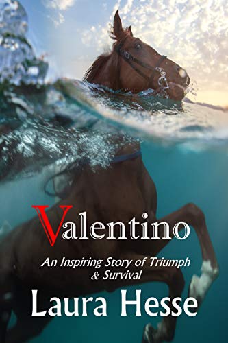 Valentino: A thrilling adventure survival story - think The Black Stallion meets Castaway (The Holid by Laura Hesse