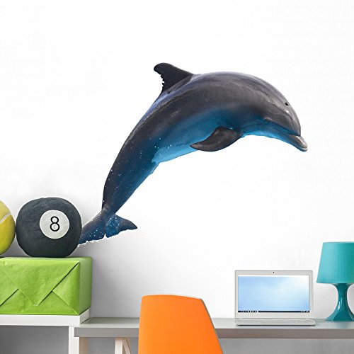 Dolphin Wall Decals Kritters in the Mailbox Dolphin Wall Decal