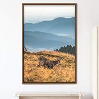 Framed Canvas Wall Art Deer Animals Deer Multicolor Photography Rustic Urban - 16x24 inches