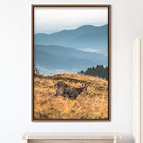 signwin Framed Canvas Wall Art Deer Animals Deer...