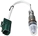 NTK 24244 Oxygen Sensor