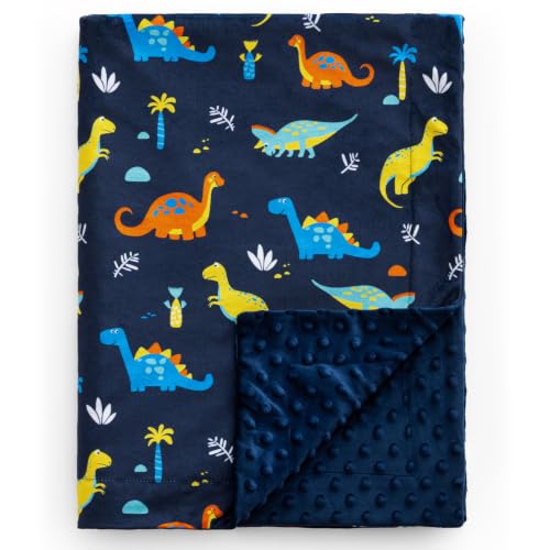 David's Kids Dinosaur Minky Baby Blanket