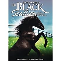 The Adventures of the Black Stallion: The Complete First