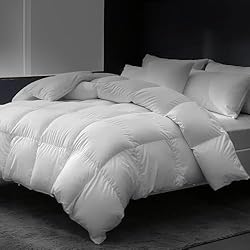 East Coast Bedding Cozy Dream Goose Down and