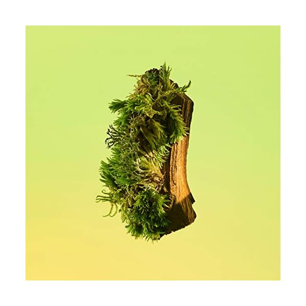 Calvin Klein Eternity for Men