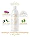 Botanical Hydrating Conditioner, Sulfate Free, 16 oz. - infused w/ Panthenol-Rice Protein-Burdock Extract-Ivy Extract-Fenugreek Extract-Essential Oils