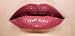 The Must Haves 3 Pcs. Lipstick Set Made In U.S.A.