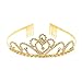 Gold Costume Princess Crown Cosplay Birthday Crowns with Comb Pin Crystal Bridal Wedding Tiara for Girls & Women