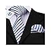 Barry.Wang Stripe Men Ties Set Classic WOVEN Necktie with Handkerchief Cufflinks Formal White Colored