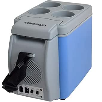 Nevera portátil de 6 litros, 12 V + 220 V: Amazon.es: Grandes ...