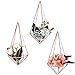 Mkono 3 Pack Wall Mounted Air Plant Holder Modern Geometric Planter Hanging Tillandisia Container Himmeli Home Decor, Rose Gold