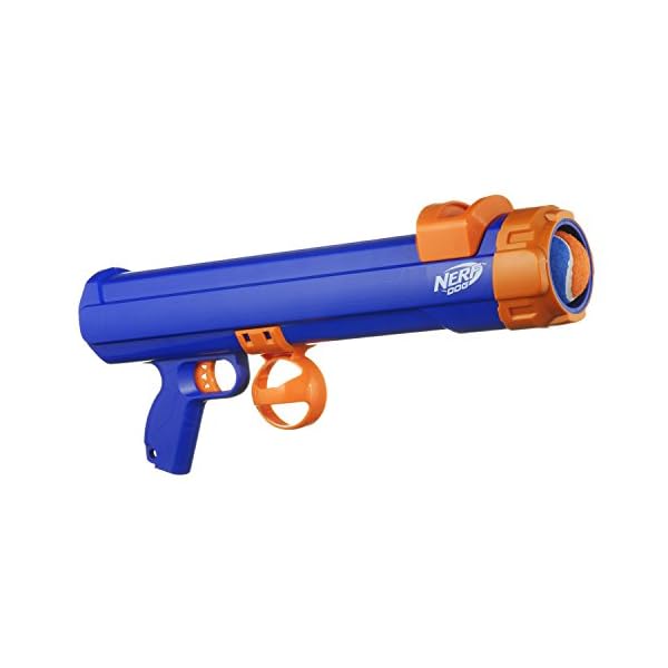 nerf blaster dog